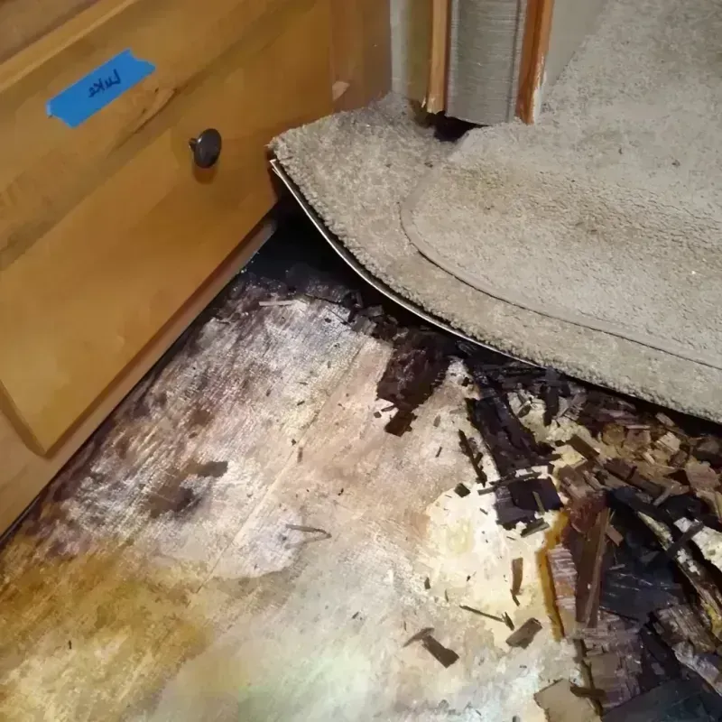 Wood Floor Water Damage in Long Beach, WA